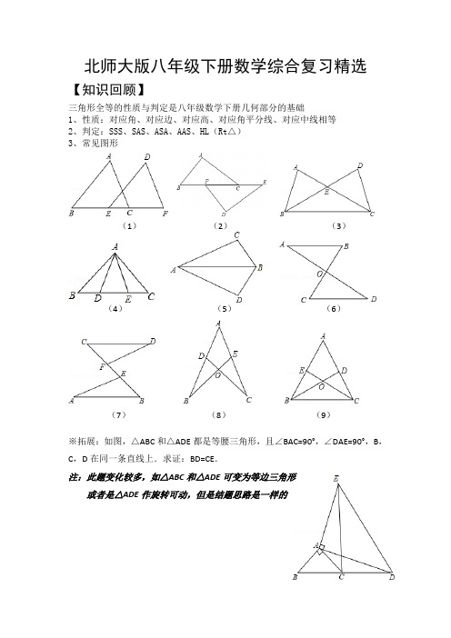 北师大版八年级下册数学综合复习精选