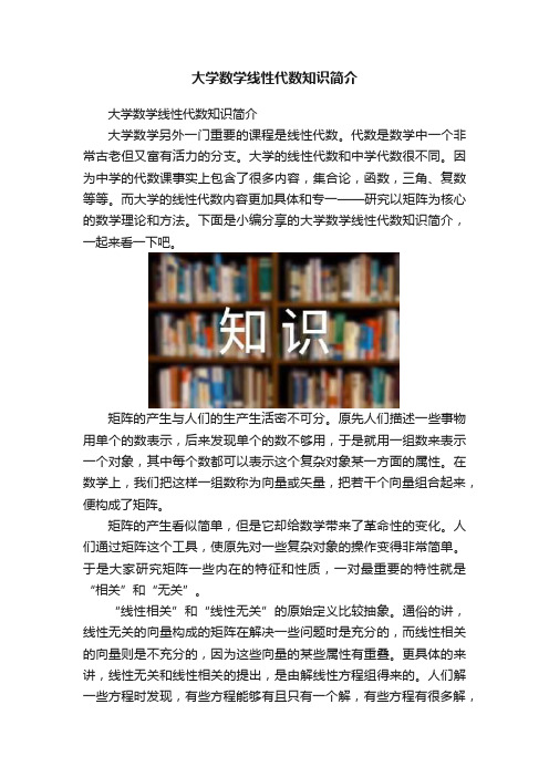 大学数学线性代数知识简介