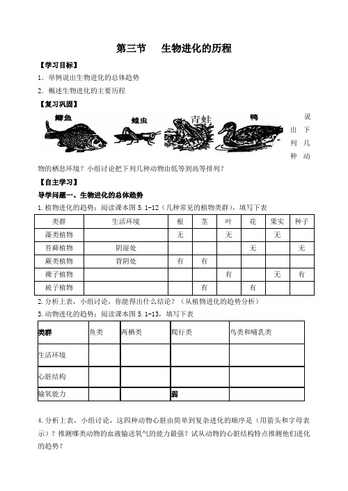 桃林初中第三节生物进化的历程