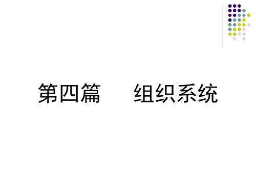 组织系统概述.pptx