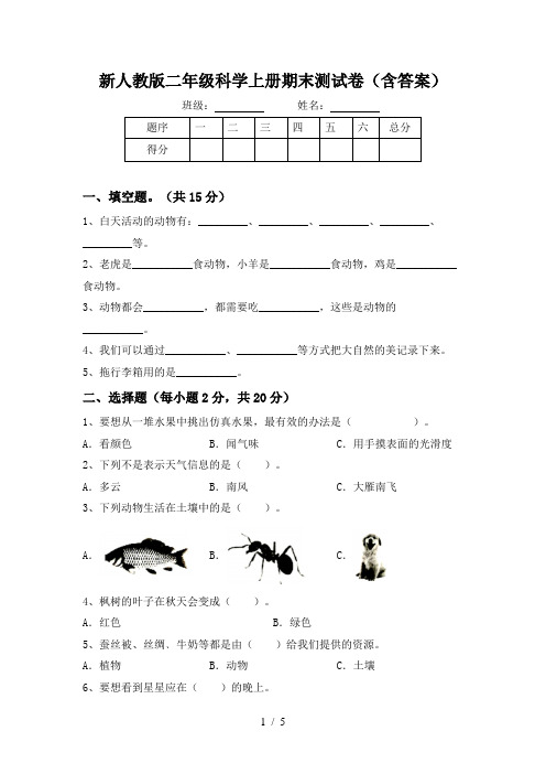 新人教版二年级科学上册期末测试卷(含答案)