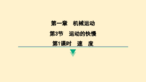 速度 2024-2025学年人教版(2024)物理八年级上册