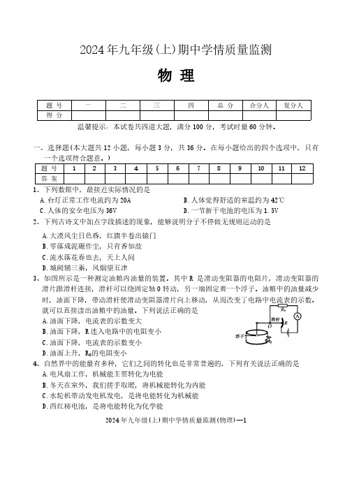 湖南邵阳市新邵县思源实验学校、新邵县陈家坊镇中学2024-2025学年九年级上学期11月期中物理试题