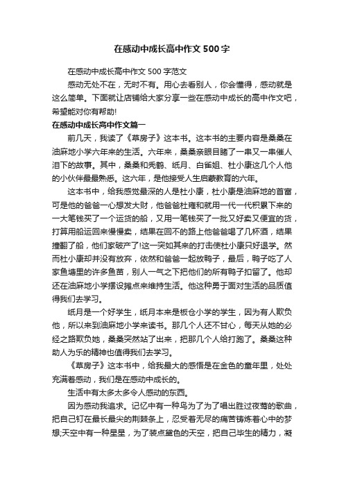 在感动中成长高中作文500字