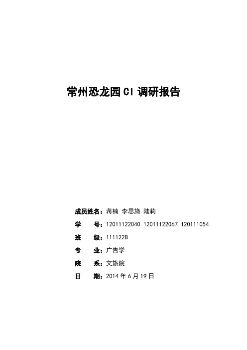 恐龙园CI调研报告