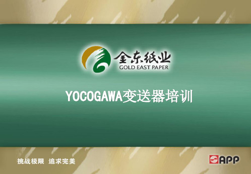 YOKOGAWA压力变送器介绍PPT精选文档