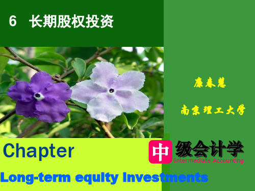 长期股权投资概述(PPT 65页)