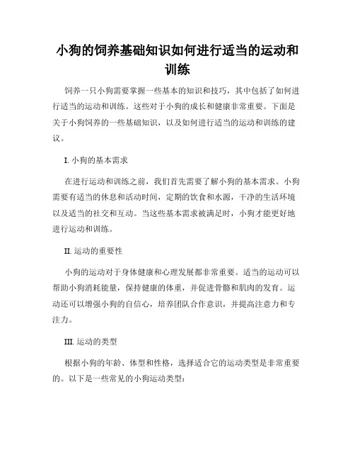 小狗的饲养基础知识如何进行适当的运动和训练