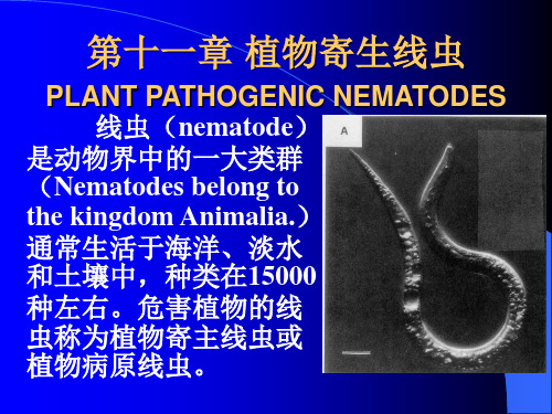 六植物寄生线虫及原生动物