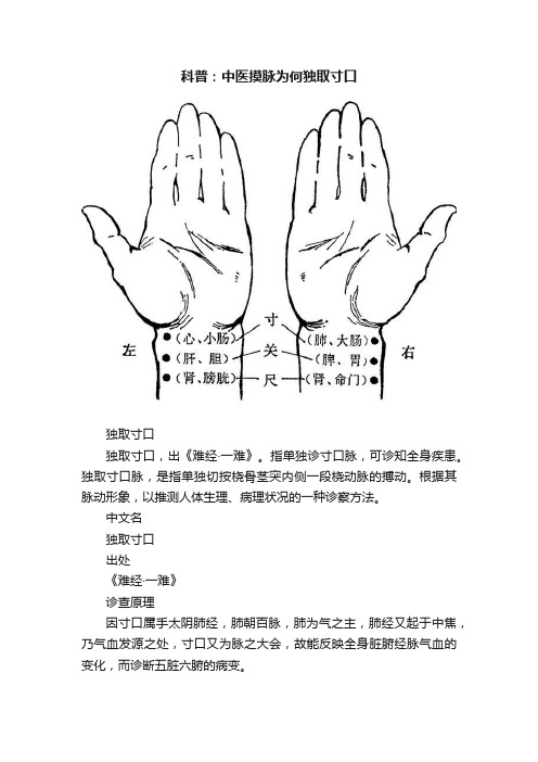 科普：中医摸脉为何独取寸口