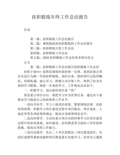 挂职锻炼年终工作总结报告