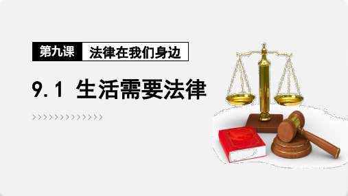 9.1 生活需要法律 课件(27张PPT)-2022-2023学年部编版道德与法治七年级下册