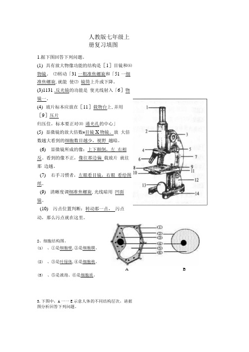 七年级上册生物复习填图.docx