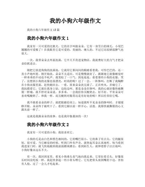 我的小狗六年级作文