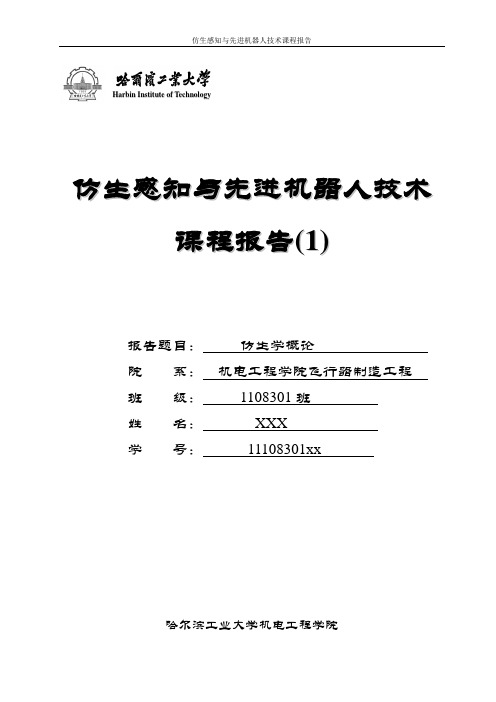 哈工大仿生感知与先进机器人课程报告(1)