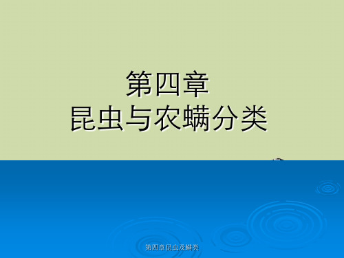 第四章昆虫及螨类