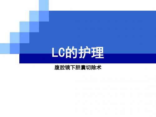 LC术后的护理PPT课件