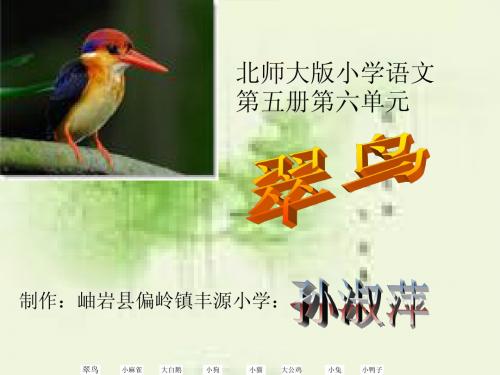 翠鸟教学课件(孙淑萍)