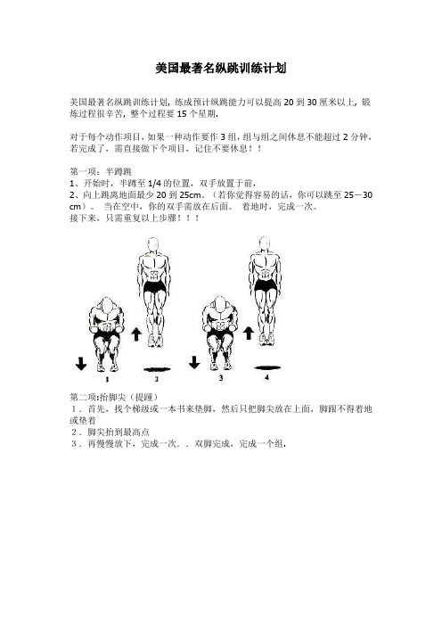 美国最著名纵跳训练计划