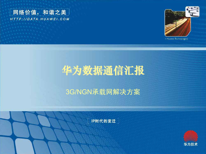 3G NGN解决方案(春风行动)