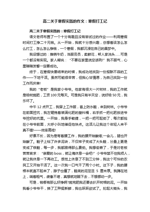 高二关于寒假实践的作文：寒假打工记