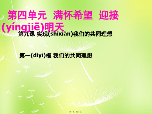 湖南师大附中博才实验中学九年级政治全册4.9实现我们的共同理想课件2新人教版