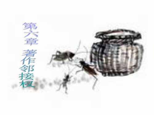 邻接权