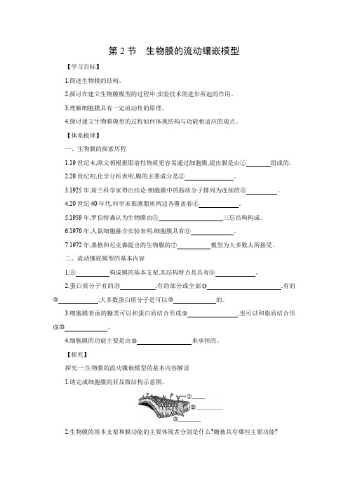 学案1：4.2 生物膜的流动镶嵌模型