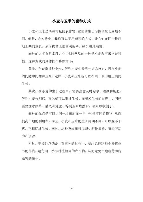 小麦与玉米的套种方式