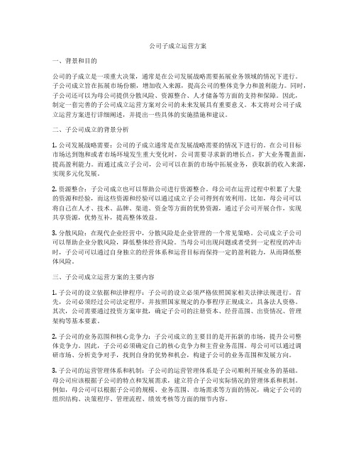 公司子成立运营方案