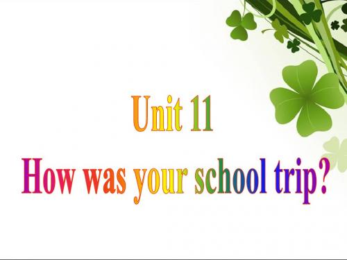 人教英语 七下 Unit11 Section A grammar-3a 课件(共11张PPT)