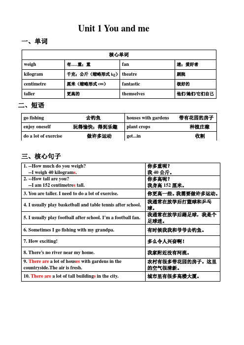 深圳2023六年级下册英语重点知识  Unit  1 You and me