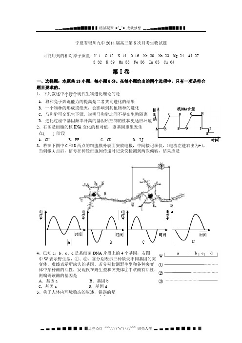 宁夏省银川九中2014届高三第5次月考生物试题 Word版无答案[ 高考]