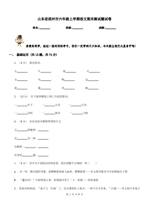 山东省滨州市六年级上学期语文期末测试题试卷