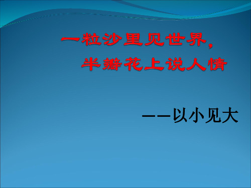 2021年高考语文复习：欣赏现代散文的小与大(课件22张)