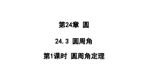 2圆周角第1课时圆周角定理课件沪科版九年级数学下册