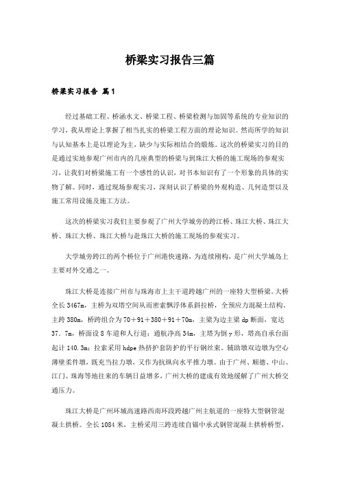 桥梁实习报告三篇_4