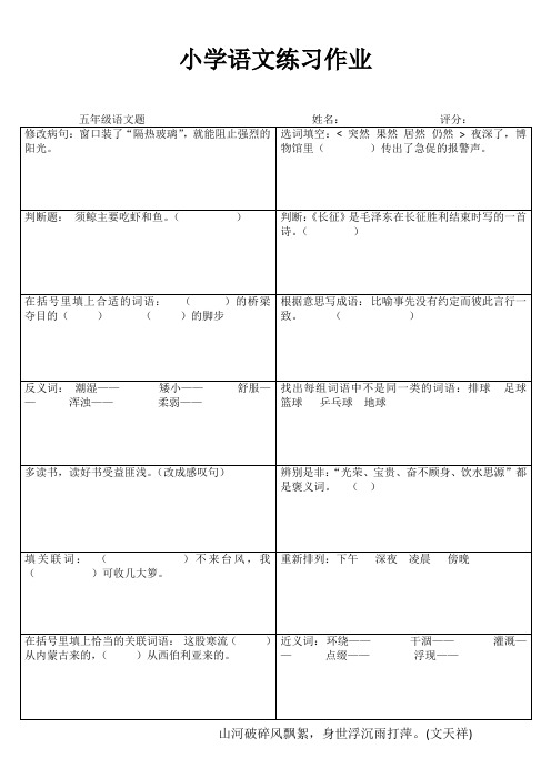 小学五年级语文精作细练III (94)