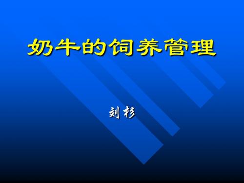 奶牛的饲养管理2