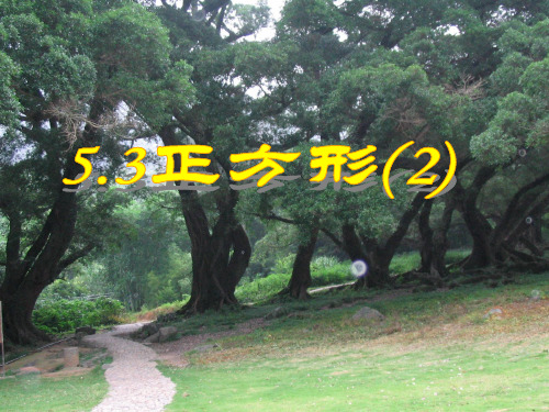 【最新】浙教版八年级数学下册第五章《5.3正方形(第二课时)》公开课课件.ppt