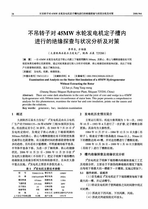 不吊转子对45MW水轮发电机定子槽内进行的绝缘探查与状况分析及对策