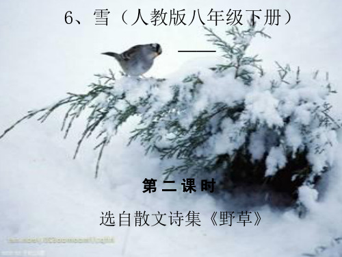 《雪》语文教学课件(人教版八年级下册)