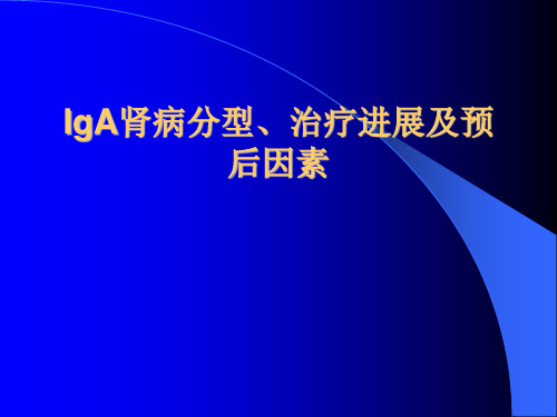 IgA肾病分型、治疗进展及预后因素