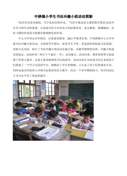 中驿镇小学生书法兴趣小组活动剪影