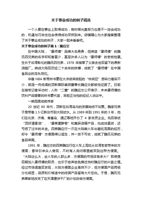 关于事业成功的例子精选