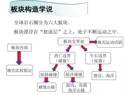 板块构造