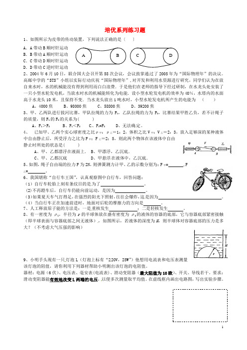 江苏省高邮市车逻初级中学九年级物理 培优系列练习题6(无答案)