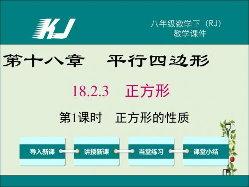 人教版八年级数学下册18.2.3 第1课时 正方形的性质 教学课件