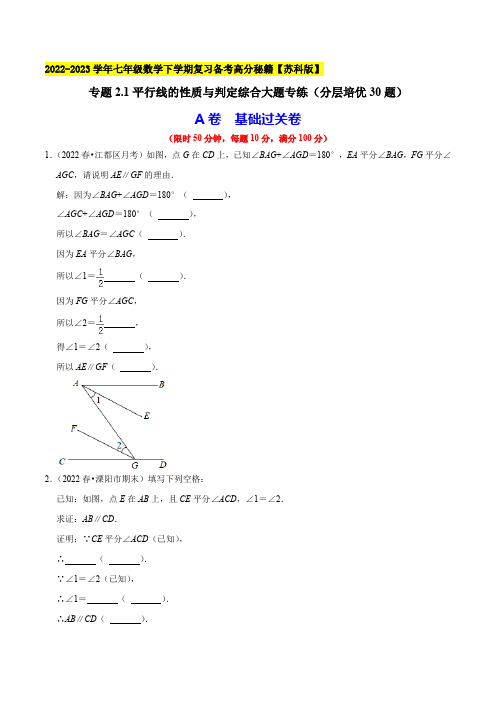 平行线的性质与判定综合大题专练(分层培优30题,七下苏科)七年级数学下学期复习备考高分秘籍
