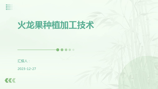 火龙果种植加工技术